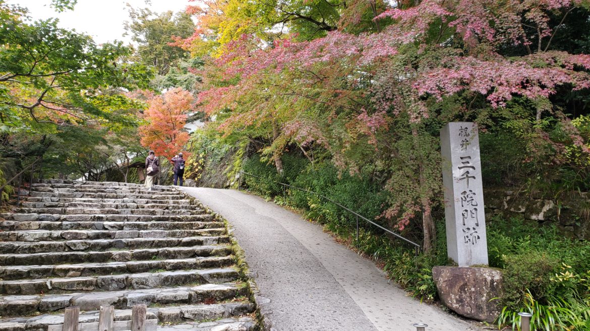 Киото Осень Листья Ohara 20201104