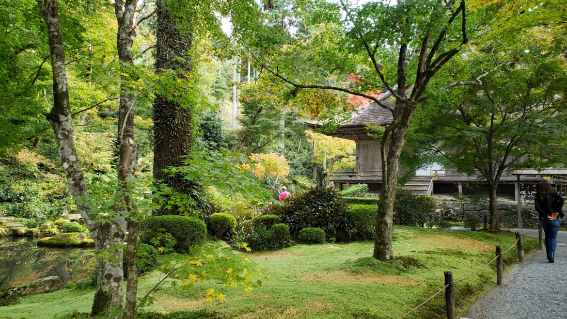 Киото Осень Листья Ohara 20201104